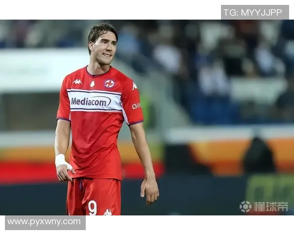 弗拉霍维奇的崛起与未来展望：从天才少年到足球巨星之路